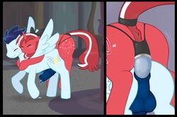 anal anus ass balls friendship_is_magic my_little_pony original_character penis red_ribbon_(oc) redintravenous sex_toy soarin_(mlp) strap-on wonderbolts_(mlp)