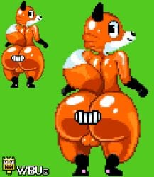 anthro anus_mouth ass backsack balls big_butt butt_mouth canid canine curvy_figure digital_media_(artwork) fox fur genitals logo looking_back low_res male mammal nude pixel_(artwork) rear_view simple_background smile solo tail teeth teeth_showing thick_thighs thumbnail wbu what wide_hips