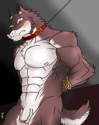 2013 abs anthro balls biceps canine closed_eyes fur hentist hideo_katashi_(character) male male_only muscles nude pecs penis pose solo wolf