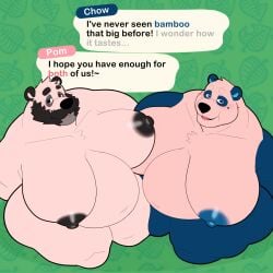 2024 2boys animal_crossing anthro anthro_only bara bara_tiddies bara_tits bara_titties bear bear_ears beard belly big_pecs black_nipples blue_nipples blush breasts chow_(animal_crossing) chubby chubby_anthro chubby_male dilf facial_hair fat_man furry gay kemono large_breasts large_pectorals looking_at_viewer male male/male male_breasts male_only man_boobs man_tits manboobs mantits milkblend mole mole_under_eye muscular muscular_anthro muscular_male nintendo nipples original_character overweight overweight_male panda pecs pink_body pink_fur pink_skin pom_(milkblend) pov text thick thick_eyebrows thick_hips thick_thighs yaoi