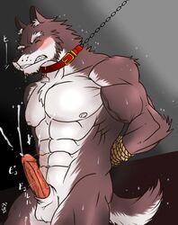 2013 abs anthro balls biceps canine closed_eyes cum erection fur hentist hideo_katashi_(character) male male_only muscles nude orgasm pecs penis pose solo wolf