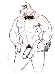 1boy anthro balls bow_tie canine collar cuffs facial_hair flaccid fur furry male male_only muscles nipples penis poop_(artist) smile solo wolf