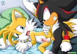 2boys anal animal_genitalia animal_penis cum cum_in_ass furry furry_only gay male male_focus male_only miles_prower palcomix rear_deliveries shadow_the_hedgehog sonic_(series) sonic_the_hedgehog_(series) tagme tails tails_the_fox yaoi