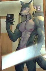 2024 abs absurd_res anthro areola barazoku beastars biceps big_muscles big_pecs canid canine canis cellphone claws convenient_censorship deltoids electronics eyebrows fur genitals hi_res holding_object holding_phone huge_muscles humanoid_genitalia humanoid_penis inside legoshi_(beastars) lens_flare lupin_art male mammal mirror mirror_selfie muscular muscular_anthro muscular_male navel nipples nude pecs penis penis_base phone reflection selfie serratus smartphone smile solo standing tuft wolf