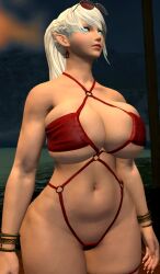 1girls 3d abs athletic_female big_breasts bikini elezen final_fantasy final_fantasy_xiv huge_breasts large_breasts micro_bikini oc tagme