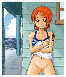 blush bottomless brown_eyes censored clothing dress dress_lift female female_only human kurita looking_at_viewer nami_(one_piece) one_piece orange_hair pre-timeskip pussy skirt skirt_lift solo sweat tattoo thigh_gap thighs uncensored undressing