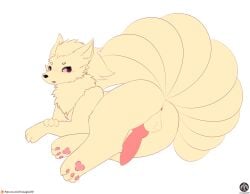 1boy 9_tails absurd_res animal_genitalia animal_penis anus ass balls blush canine_genitalia canine_penis erection feral feral_only fur genitals hi_res knot lying male male_only multi_tail ninetales nintendo orange_body orange_fur paws penis pokemon pokemon_(species) senz simple_background solo tail tails