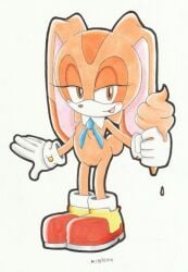 blush cream_the_rabbit cub female female_only ice_cream misshiirin naked naked_female pussy sega sonic_(series) sonic_advance_2 sonic_the_hedgehog_(series) vagina young