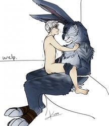bunnymund from rise of the guardians