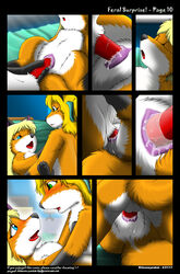 anthro balls bed blue_eyes canine female feral firecat fox green_eyes kitsune_youkai male mammal nude page_10 penetration penis pussy sex vaginal_penetration
