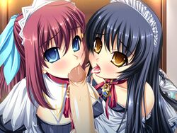 1boy 2girls black_hair blue_eyes blush breasts collaborative_fellatio collar double_fellatio fellatio goshujinsama_daisuki hair looking_at_viewer multiple_fellatio multiple_girls murakumo_sakura open_mouth oral penis pov red_hair shishiouin_hime teamwork tongue tongue_out uncensored zettai_maou