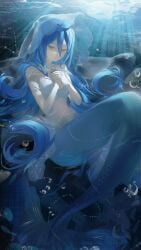 1girls alternate_costume alternate_species animal azura_(fire_emblem) blue_hair bubble female female_only fire_emblem fire_emblem_fates fish floating_hair hair_between_eyes highres jewelry long_hair looking_at_viewer medium_breasts mermaid monster_girl navel nintendo pendant shell shell_bikini solo stomach submerged twitter_username underwater veil very_long_hair water yellow_eyes yun_(dl2n5c7kbh8ihcx)