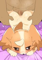 absurd_res anal anal_sex anus ass blush bodily_fluids brown_body brown_eyes brown_fur canid canine canis domestic_dog duo female female_penetrated feral feral_penetrated fur genitals heart_symbol hi_res human human_on_feral human_penetrating human_penetrating_feral interspecies komugi_(precure) male male/female male_penetrating male_penetrating_female mammal multicolored_body multicolored_fur penetration penile penile_penetration penis penis_in_ass pretty_cure rinrin_(pixiv) sex sweat tan_body tan_fur tears tears_of_pleasure two_tone_body two_tone_fur wonderful_precure! zoophilia