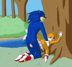 against_tree anal anal_sex anthro aza blue_arms buggery color fox fur furry furry_only gay hedgehog interspecies male male_only miles_tails_prower multiple_males no_humans outdoors sega sonic_(series) sonic_team sonic_the_hedgehog sonic_the_hedgehog_(series) sonic_the_hedgehog_2 tails yaoi zenu