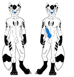 anthro big_penis blue canine chevron erection fox fur furry male model_sheet penis