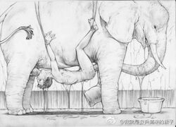 1boy anal anal_masturbation anal_penetration bestiality blowjob bondage deepthroat elephant feral_on_human feral_on_male gay homosexual human human_on_feral human_only lowres male male/male male_on_male male_only monochrome oral sketch suspension trunk_(anatomy) trunk_penetrating xiin zoophilia