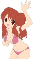 1girls asahina_mikuru bikini breasts brown_eyes brown_hair busakumas busty female highres large_breasts legs long_hair photoshop smile suzumiya_haruhi_no_yuuutsu swimsuit thighs tied_hair twintails vector_trace
