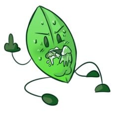 angry autofellatio ballsack battle_for_dream_island battle_for_dream_island_again bfb bfdi bfdia cum flipping_off flipping_viewer_off leafy_(bfdi) middle_finger object_shows penis saliva