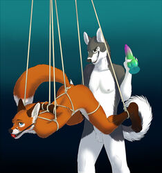 ball_gag bondage bound canine dildo fox furry gag gay husky male mischievous no_humans raised_tail rope sex_toy suspension thewhitefalcon worried