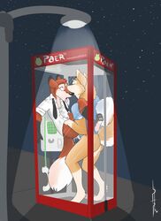 alabaster_tablespoon anal anal_sex anthro bottomless canine clothing cum cum_inside erection fox fur furry gay half-dressed husky in_public male necktie no_humans orgasm panting penetration penis phone sex shirt telephone_booth