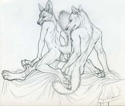 anal anal_sex bed black_and_white blanket canine cum fennic fox furry gay male marcus monochrome no_humans penetration penis reis rukis underwear wolf