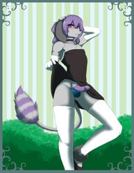 anthro blush canine fur furry girly maid maid_uniform male penis poodle raccoon redwolfxiii stockings teasing thong