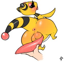 ampharos anus balls blush male nintendo pokemon pokemon_(species) pov tagme yaoi zeeman