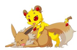 ambiguous_gender aqsw cheetah claws crossover eevee feline feral from_behind fur furry_ears furry_tail jasper_(jewelpet) jewelpet jewelpet_(species) male nintendo open_mouth penetration plain_background pokemon red_eyes sex tail video_games white_background