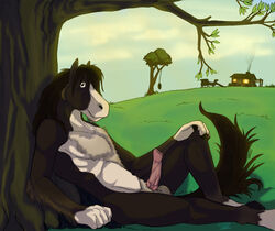 2013 anthro balls cabin equine farm furry hooves horse male male_only muscles no_humans nude penis pinup pony solo tealie