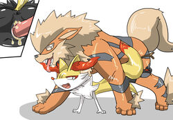 1boy 1girls all_fours anus arcanine braixen canine doggy_style duo female feral fox from_behind_position furry interspecies male mammal nintendo penis pokemon pokemon_(species) pokemon_xy sex size_difference straight sya tongue video_games