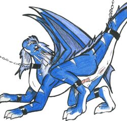 2006 chains cuntboy cuntboy_sans_balls dragon feral herm hermaphrodite intersex male maleherm multi_genitalia penis pussy raised_tail scalie solo tylon tylon_(character) wings