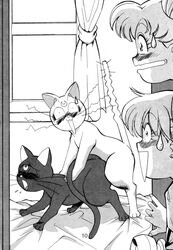 1990s 1993 20th_century artemis_(sailor_moon) bishoujo_senshi_sailor_moon blush caught_in_the_act feline female feral fred_kelly fur human luna_(sailor_moon) male minako_aino monochrome sex straight surprised tagme usagi_tsukino walk-in