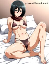 mikasa ackerman from attack on titan