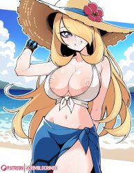 cynthia (pokemon) from game freak by scrimblocrimbo