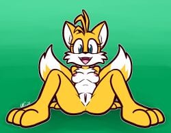 tails the fox from sega by ultilix