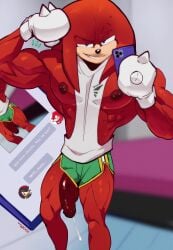 knuckles the echidna from sega by idoraad
