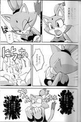 blaze_the_cat censored comic fur sex sonic_(series) tagme time_stop tojyo