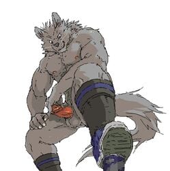 anthro balls canine erection furry gamma-g looking_at_viewer male male_only masturbation muscles nipples no_humans penis shoes solo whiskers wolf