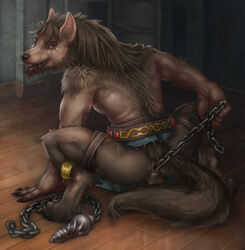 anthro canine chains dildo fur furry furry_only gay gloveboxofdoom male no_humans sex_toy werewolf wolf