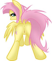 2012 2013 anus ass blue_eyes cutie_mark equine female fluttershy_(mlp) friendship_is_magic hair horse kejzfox looking_at_viewer looking_back my_little_pony pegasus pink_hair pony presenting pussy solo straight_hair wings