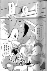 amy_rose censored comic fur furry hedgehog monochrome presenting presenting_anus sex sonic_(series) spread_anus squatting time_stop tojyo