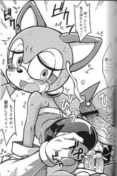 censored fur marine_the_raccoon sega sex sonic_(series) tagme tojyo