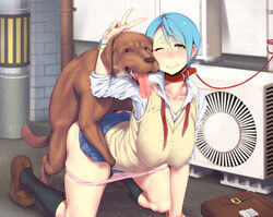 air_conditioner bag blue_hair blush breasts canine collar doggy_style dominant_feral female female_on_feral feral footwear heart hi_res huge_breasts human_on_feral kneehighs kneeling leash looking_at_viewer messenger_bag open_mouth panties panty_pull pink_panties school_uniform sex short_hair shoulder_bag socks sweat underwear v vest wide_hips wink x-ray yellow_eyes zero_(artist) zoophilia