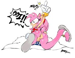 amy rose from sega
