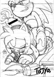 1girls amy_rose anthro ass blush clenched_teeth closed_eyes clothing comic cum cum_in_pussy cum_in_uterus cum_inside deep_penetration doggy_style female from_behind fur furry hedgehog male mammal moaning monochrome open_mouth orgasm panties penetration penis sega sex sonic_(series) sonic_the_hedgehog spread_legs straight tojyo uterus vaginal_penetration x-ray