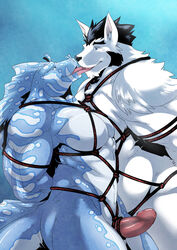 2013 anthro arms_behind_back belly big black_hair blue_eyes blush bondage bound canine chubby eel erection fish fur furry hair husky interspecies kokuhane langdon male mammal marine muscles nude overweight pecs penis plain_background rope smile thick thick_penis toned tongue tongue_out vishy white_fur yaoi