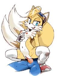 blue_fur breasts color exposed_breasts exposed_torso eyewear female footwear fox fur furry furry_breasts furry_tail gloves handwear hedgehog interspecies legwear male mostly_nude multi_tail multiple_tails orange_fur rule_63 sega sex shoes socks sonic_(series) sonic_the_hedgehog straight tail tails tailsko twistedterra vaginal vaginal_penetration white_fur