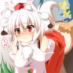 animal_ear ass ass_grab blush cum doggy_style hajime_(ak-r) hat momiji_inubashiri sex tail tokin_hat touhou white_hair wolf_ear wolf_tail