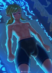 breath_of_the_wild cute femboy link link_(breath_of_the_wild) male male_only the_legend_of_zelda trap twink zipsha