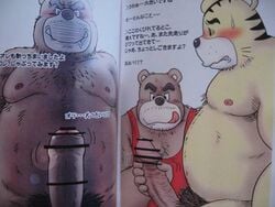 anthro bear blush censored chubby feline fur furry furry_only gay handjob imminent_rape japanese_text male overweight penis shimajiro shimajiro's_dad shimataro text tiger uncut unknown_artist